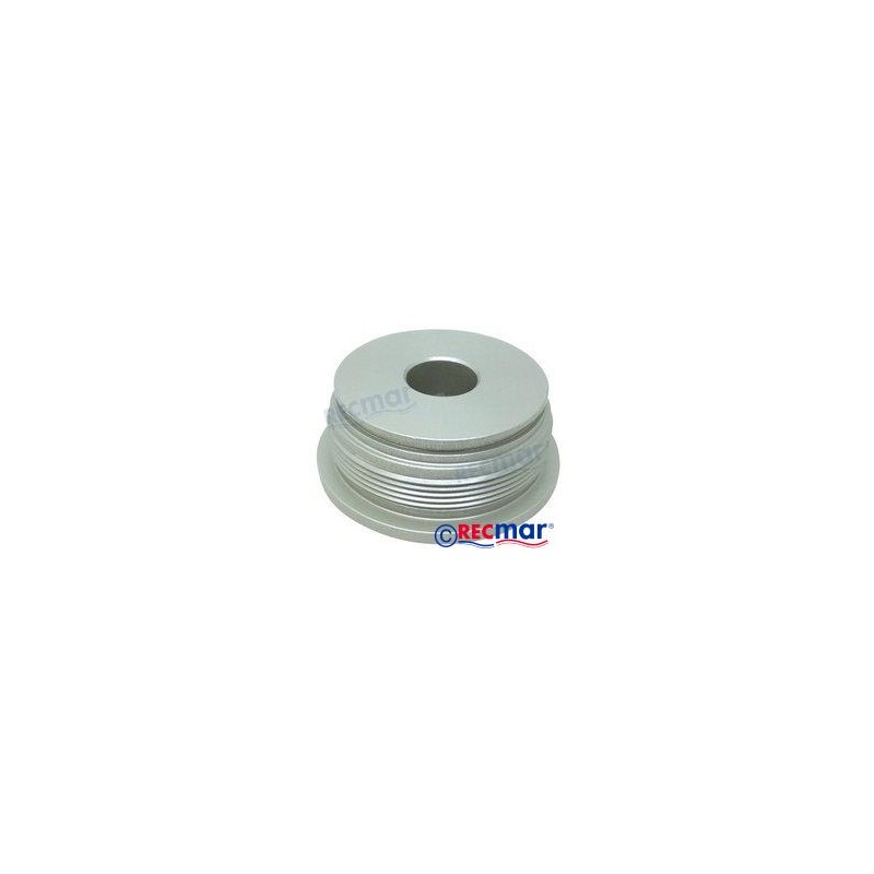 ECROU PISTON TRIM DPH/DPR