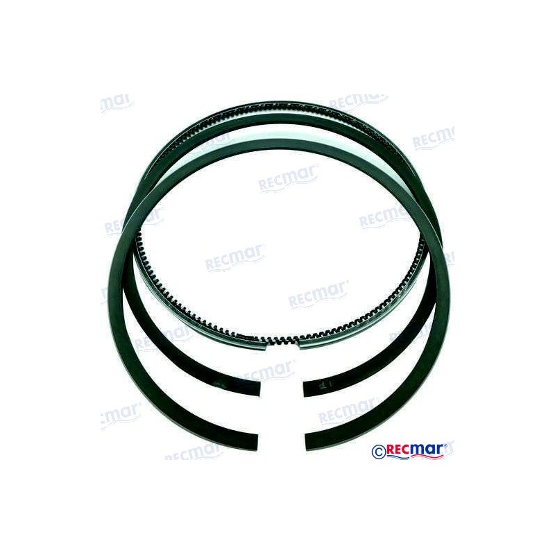 SEGMENTS - Yanmar REC719000-22501 719000-22501