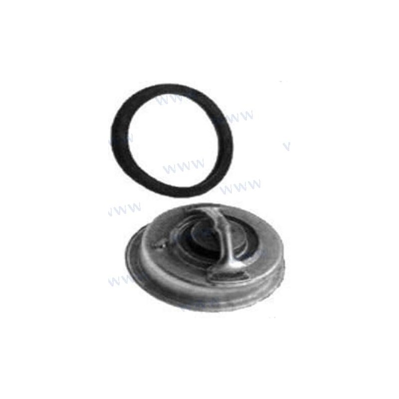 THERMOSTAT VOLVO - Volvo RM875795 875795