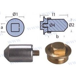 ANODE ECHANGEUR VOLVO AVEC BOUCHON