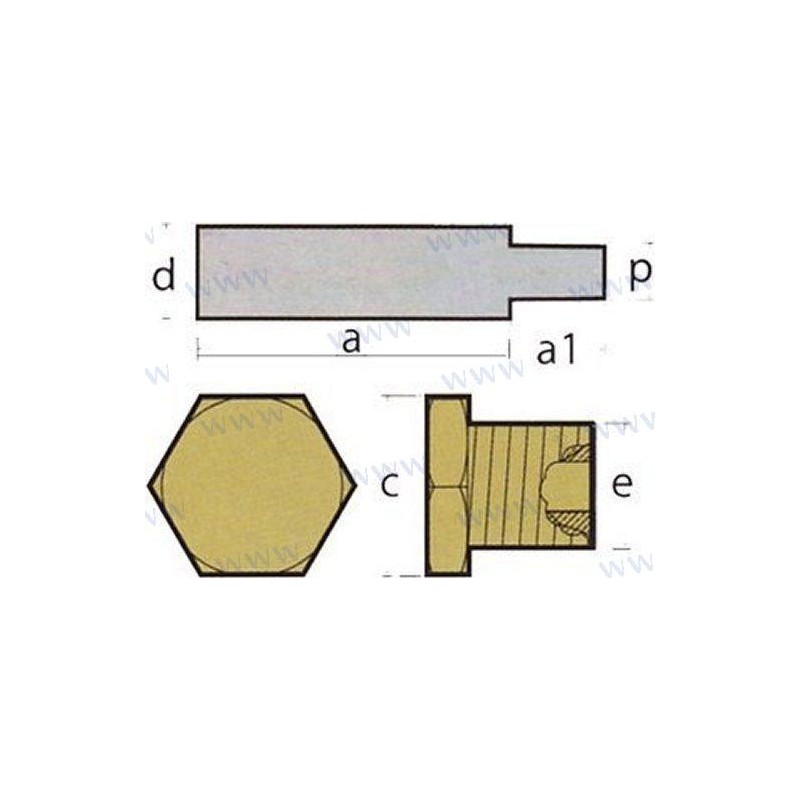 ANODE ECHANGEUR AIFO AVEC BOUCHON