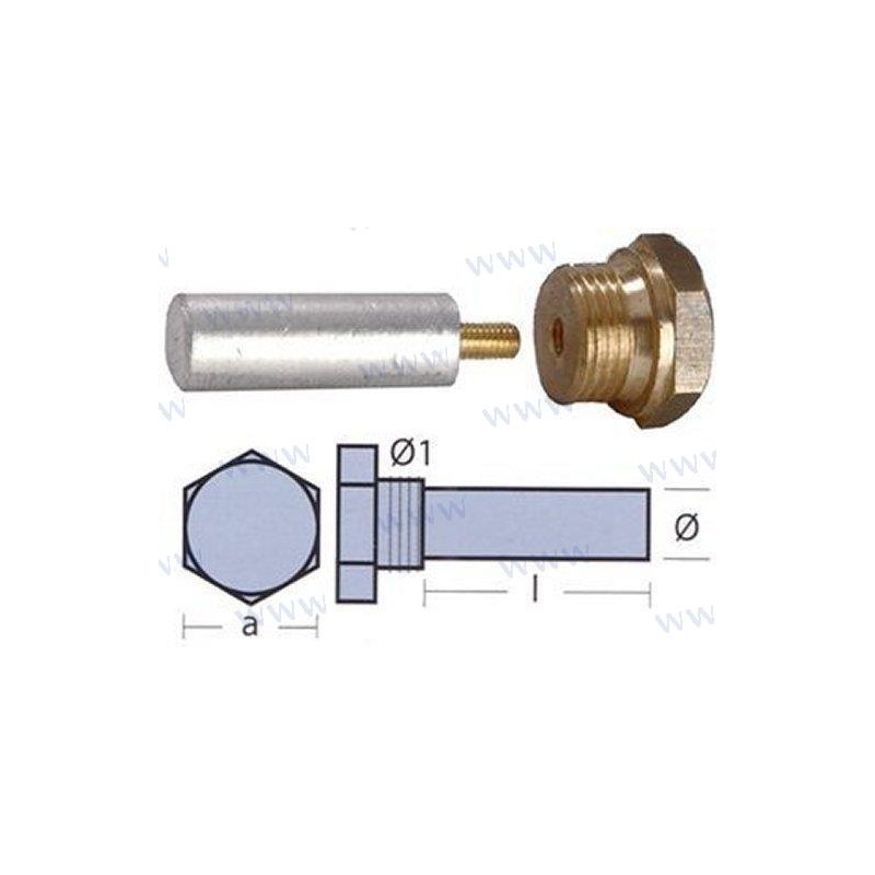 ANODE BUKH AVEC BOUCHON