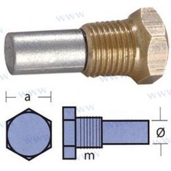 ANODE BUKH AVEC BOUCHON