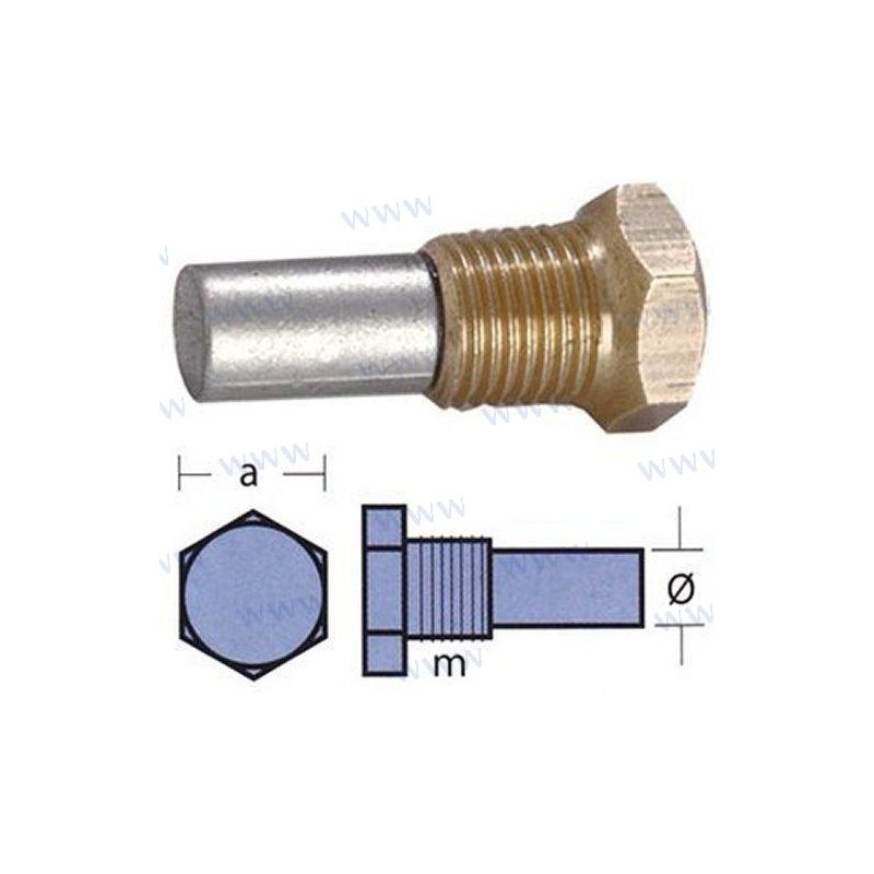 ANODE BUKH AVEC BOUCHON