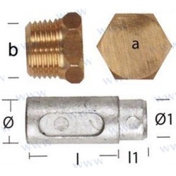 ANODE LOMBARDINI AVEC BOUCHON