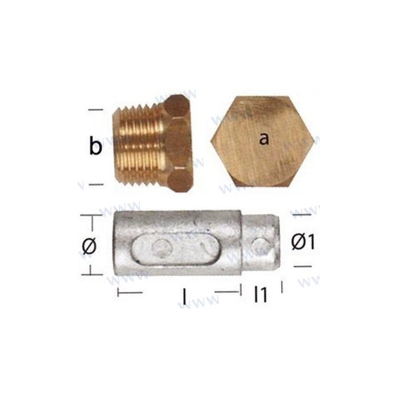 ANODE LOMBARDINI AVEC BOUCHON