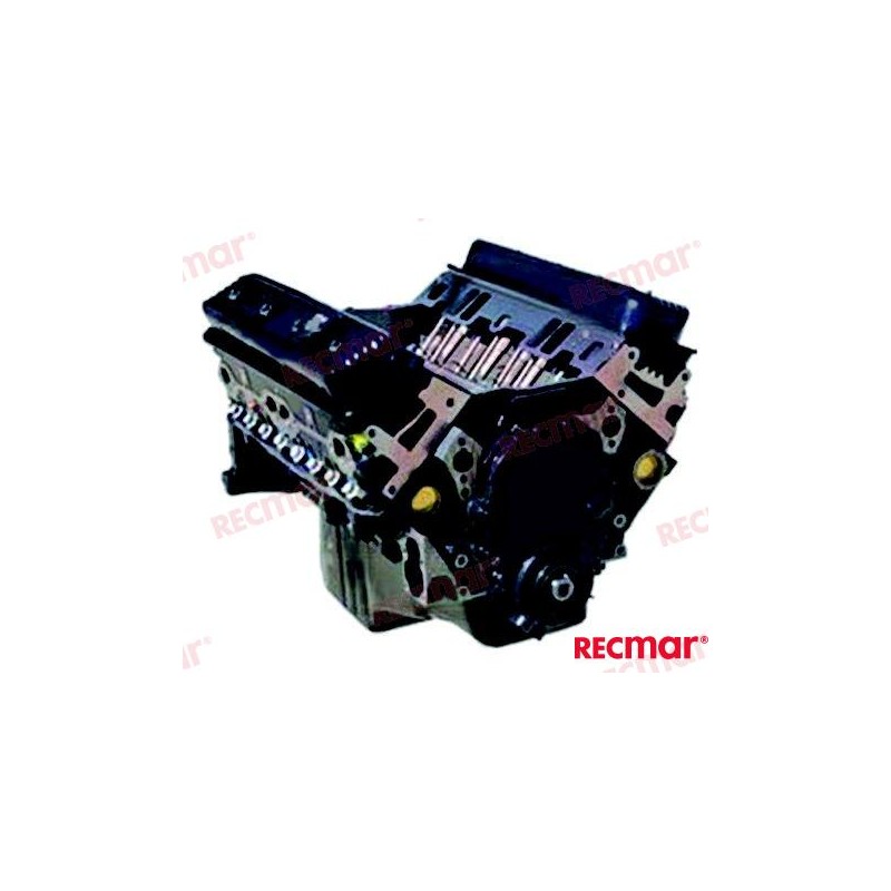 BLOC MOTEUR NEUF GM V8 6.2L...