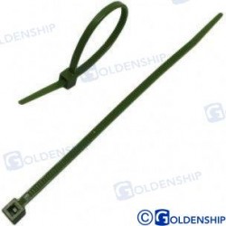 COLLIER NYLON 100X2,5 VERT  (100)